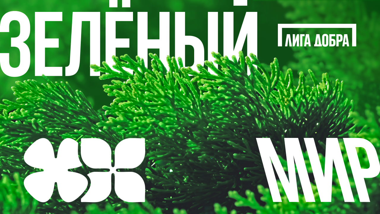 tam-gde-gorit-zelyonyj